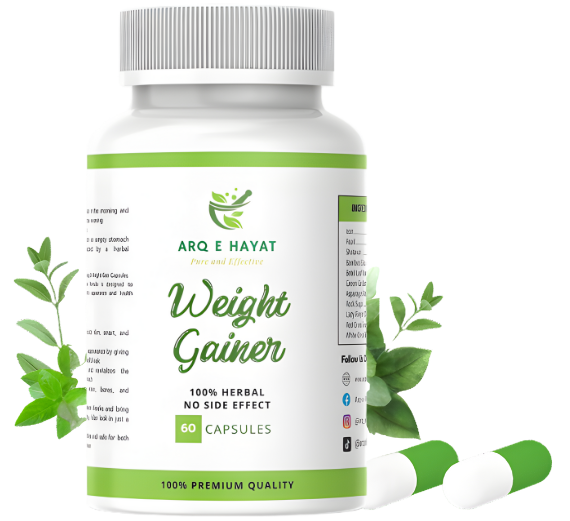 ARQ E HAYAT WEIGHT GAINER